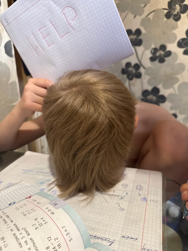 Child seeks help during homework session in Dmitrov