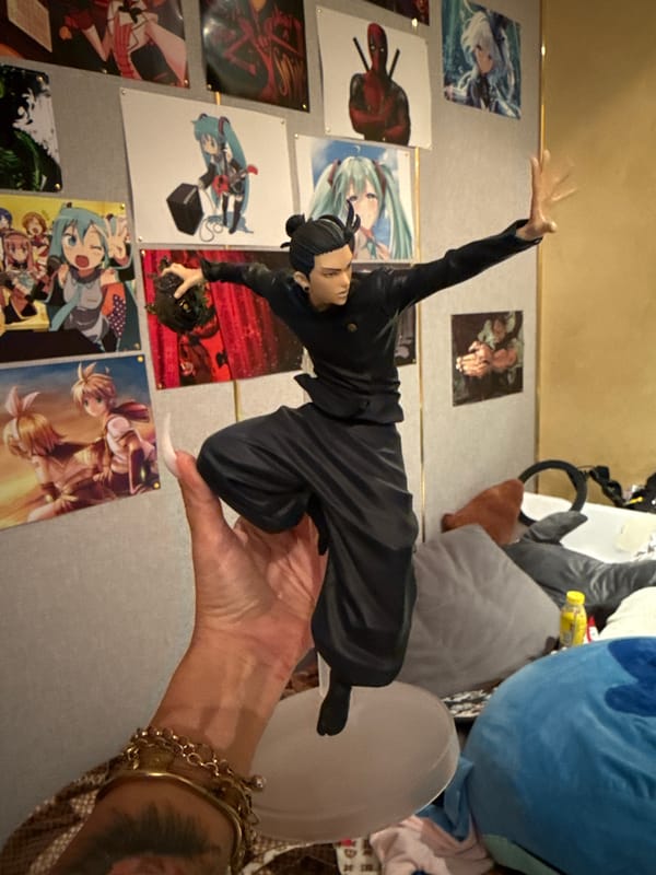 Anime figures, Funko Pops, and pet rats in an Odesa collector's room