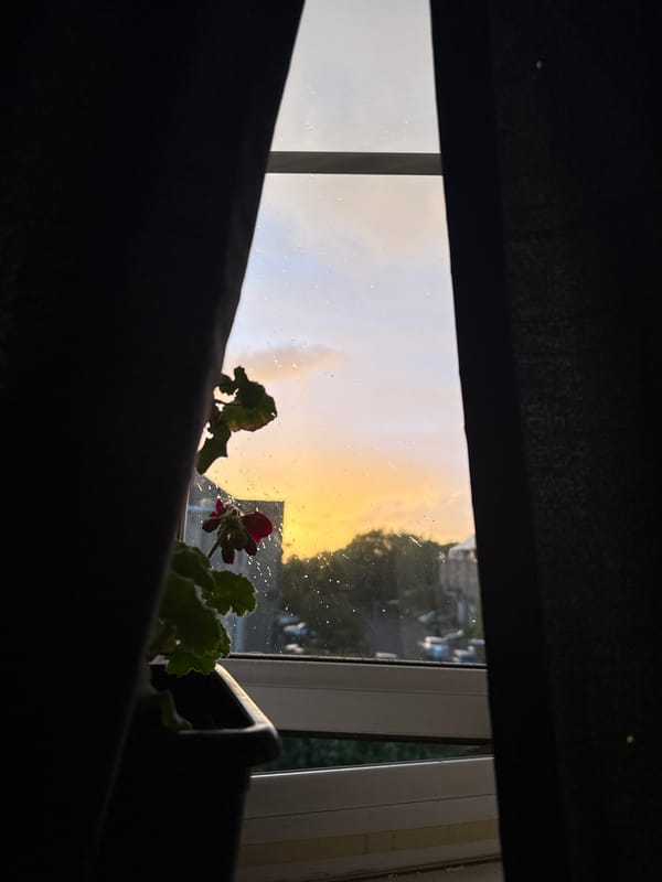 Evening domestic life documented from Great Yarmouth residence