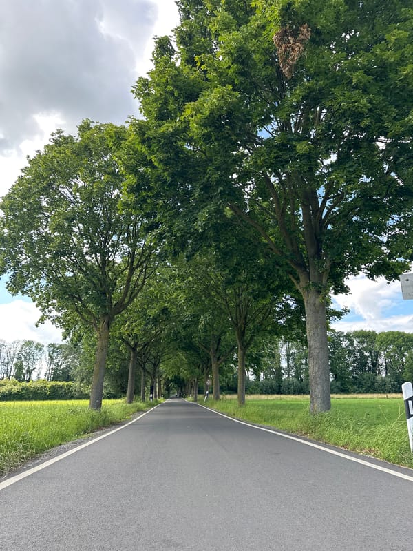 Afternoon stroll through Krefeld's tree-lined roads and meadows