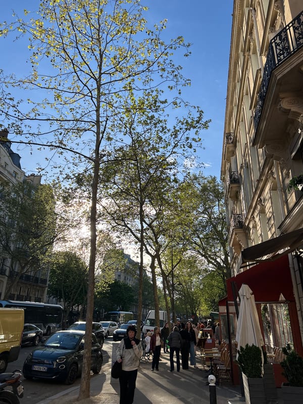 Everyday Paris street life captured in afternoon observations