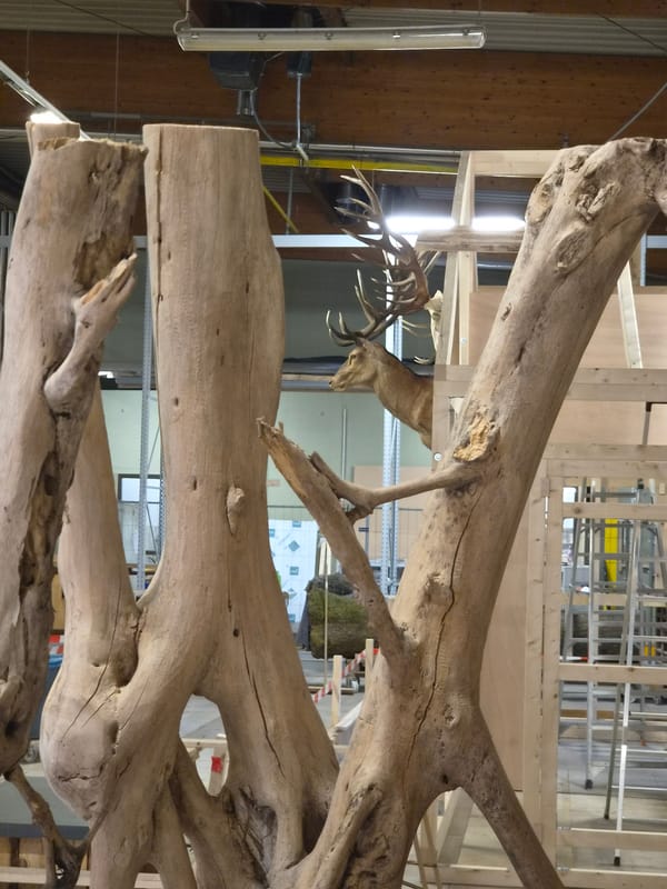 Wooden art installation documented in Leudelange workshop space