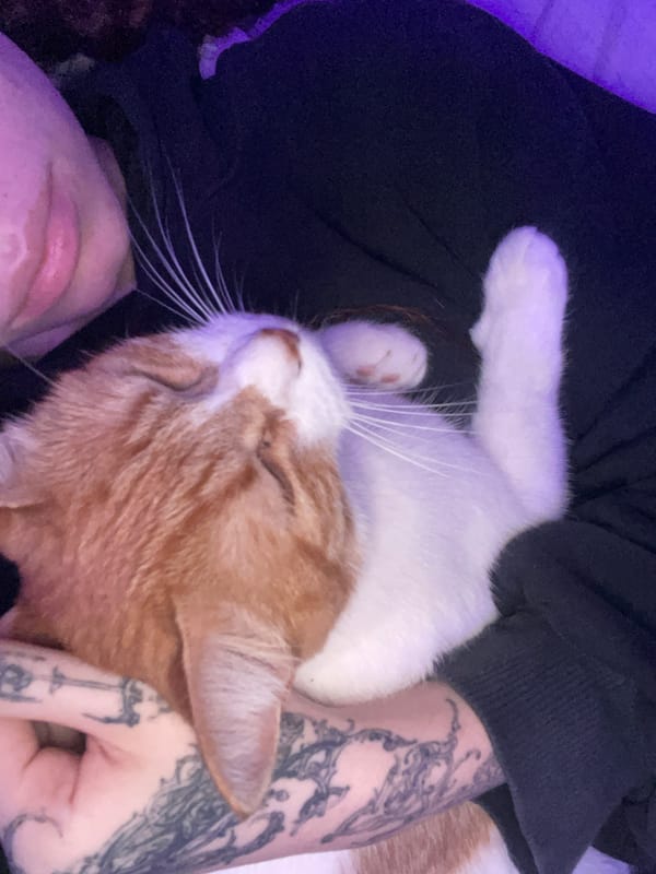 Person with tattooed arms holds orange cat in Buenos Aires
