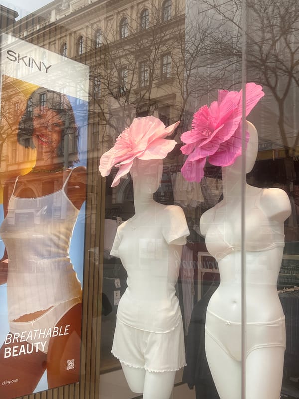 Vienna store displays mannequins with pink paper flower decorations