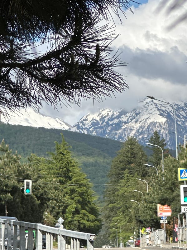 Witness documents mountain landscape and development in Krasnaya Polyana