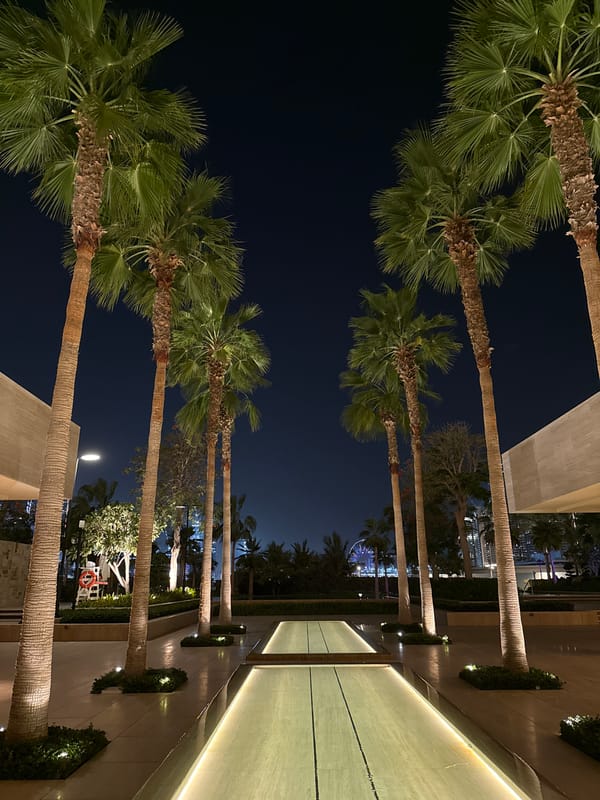 Dubai scenes captured: palm walkways, Marina skyline, pool facility
