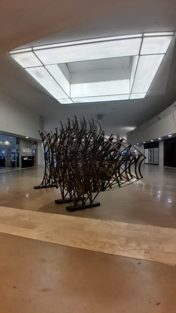 Mall art installations documented in Pampatar, Venezuela