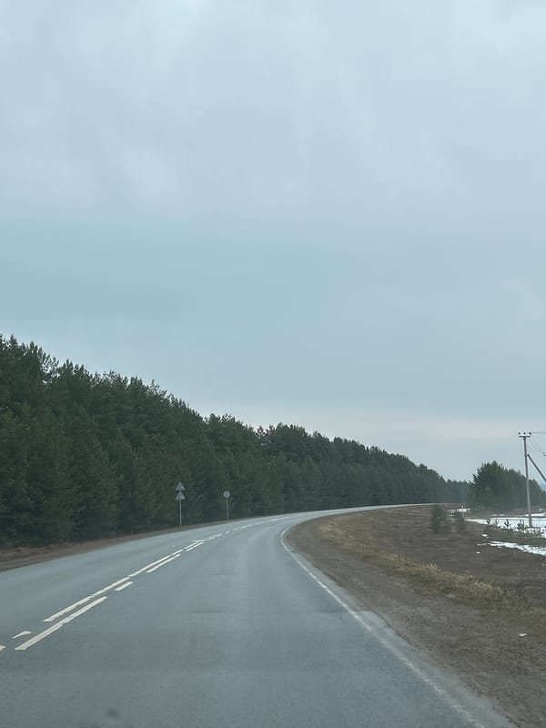 Curved road observed through forested area in Foki, Russia