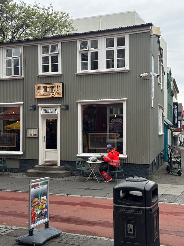 Evening stroll through downtown Reykjavik captured in detail