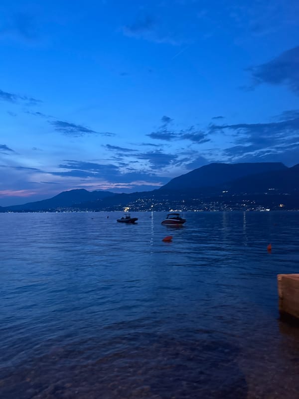 Dusk on the waterfront: golden hour, donkeys, and calm water