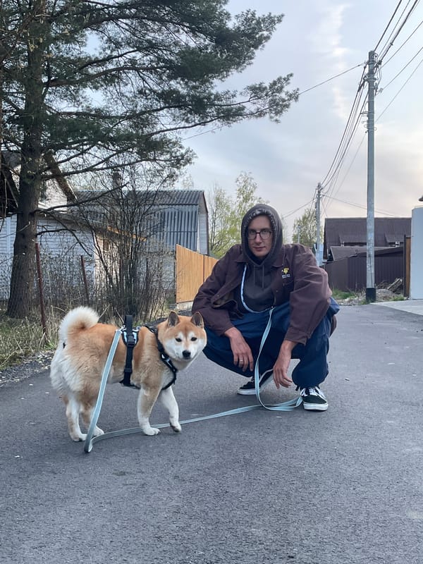 Everyday life documented in Sestroretsk: dog walks, cleanup, cats