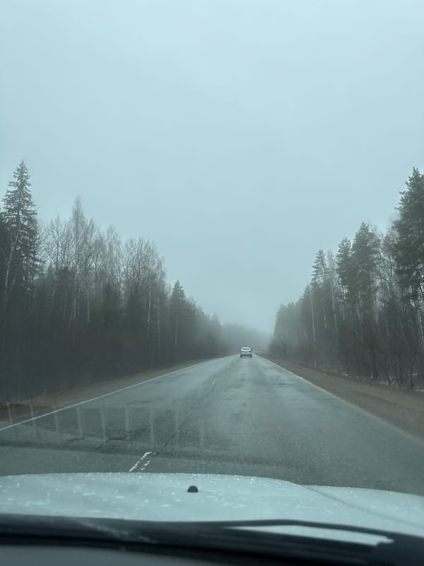 Foggy morning road conditions observed in Novyi, Russia