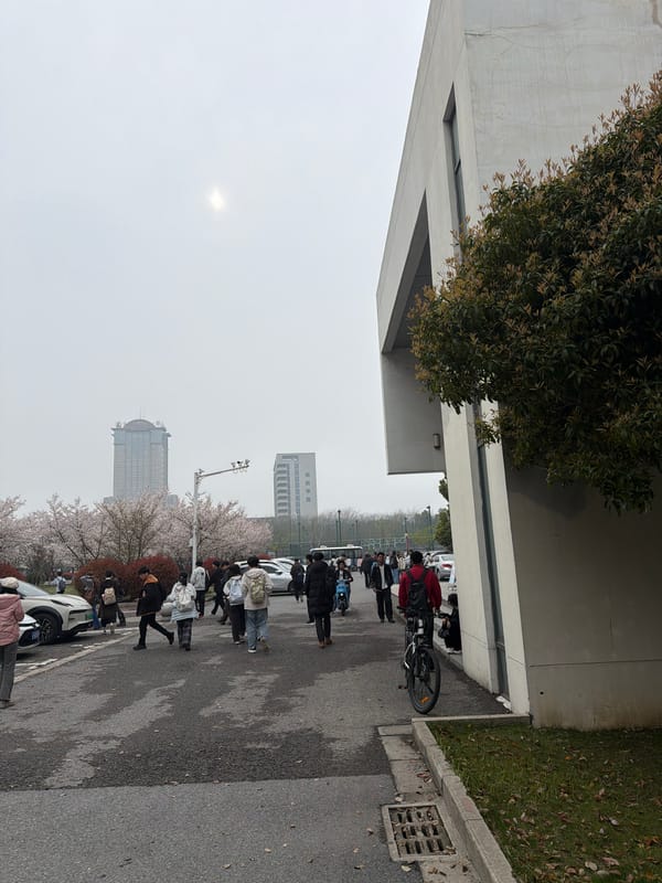 Pedestrians walk sidewalk in Jiangning District under overcast skies