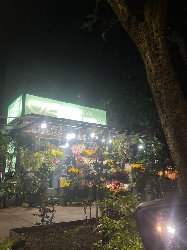 Nighttime florist shop illuminated on Mexico City street