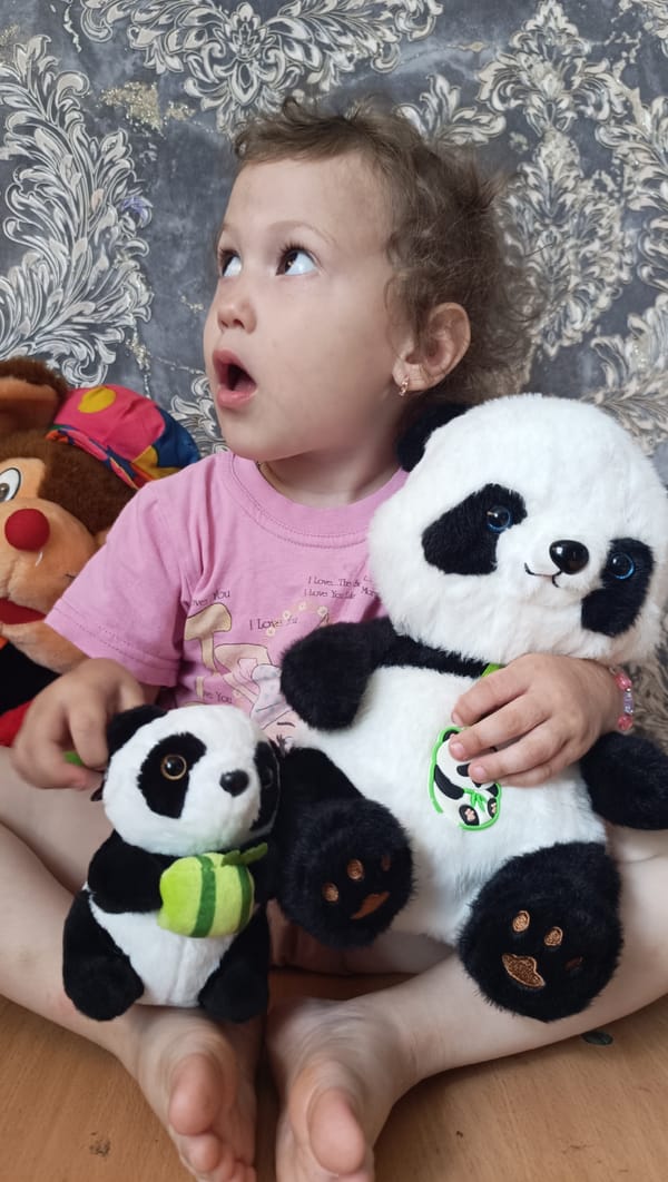 Summer morning at home: pandas, roses, and garden flowers