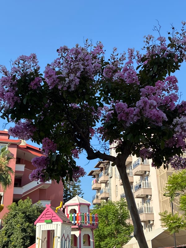 Street scenes from a sunny morning in Alanya, Turkey