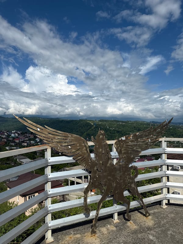 Witness documents everyday scenes across Sochi in 14-minute span