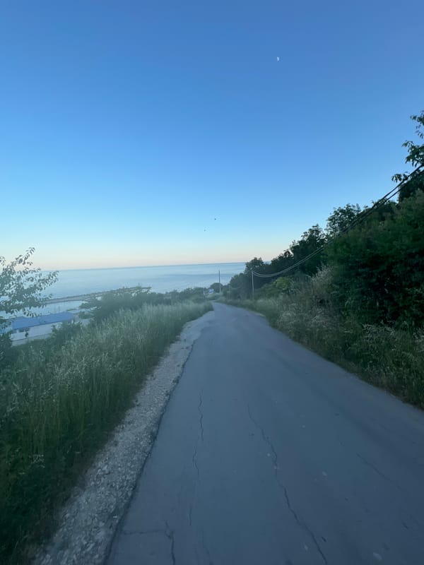 Dog walk along a calm coastal road and rocky shoreline