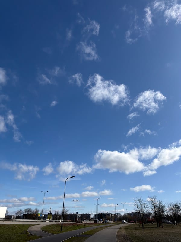 Person spotted looking skyward on sunny morning in Riga