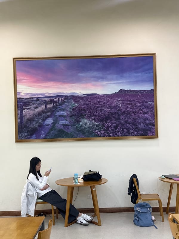 Person views artwork in Chongqing High-tech Zone indoor space