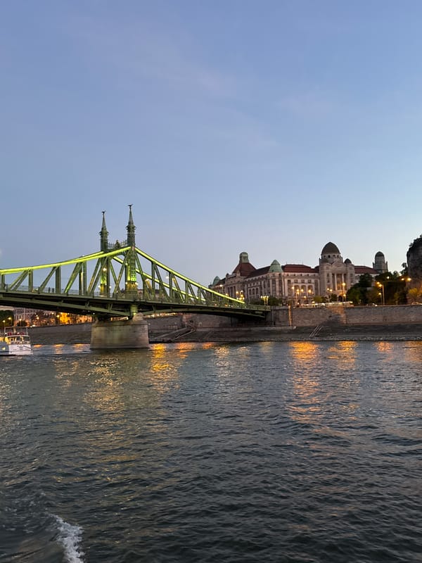 Budapest's Liberty Bridge captured in evening twilight documentation