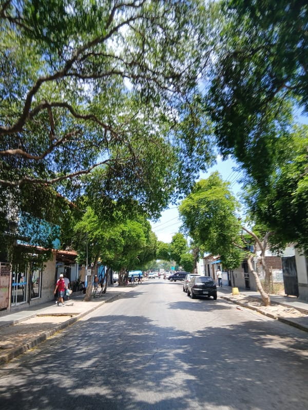 Street scenes documented in Santa Ana, Venezuela