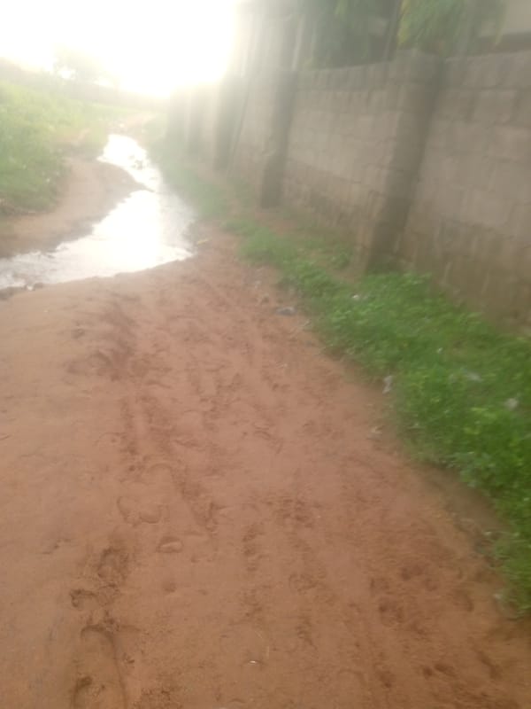 Morning scenes captured across residential Jalingo streets and pathways