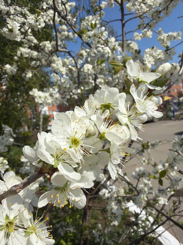 Spring day documented across Votkinsk, Russia in 22 memories