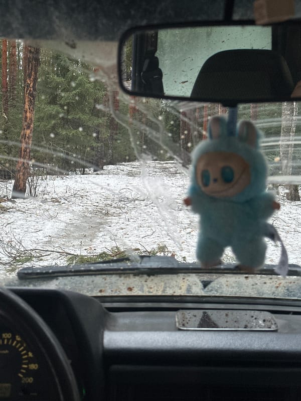 Spring snowfall observed from vehicle in Borinka, Russia