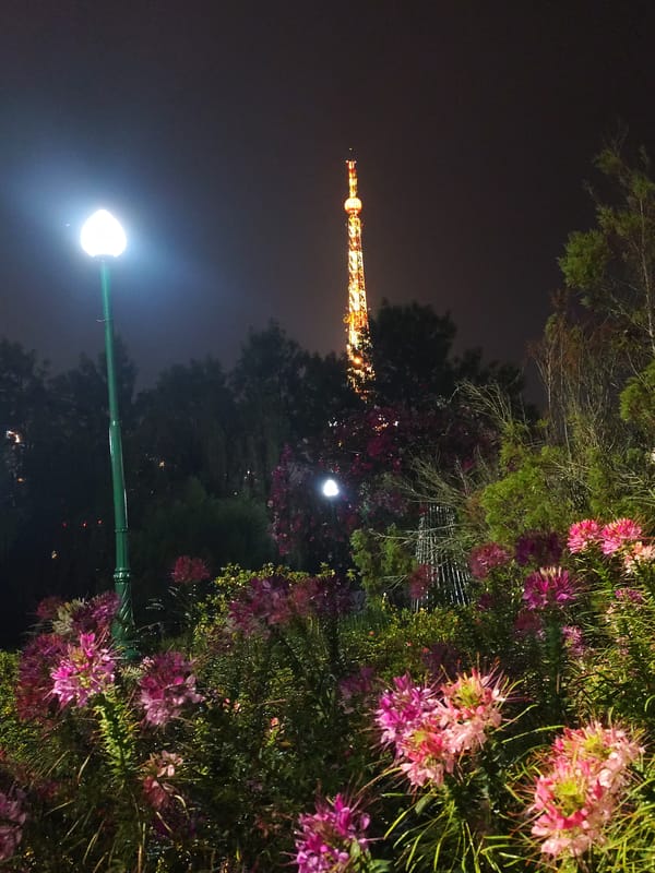 Nighttime garden walk documented in Da Lat, Vietnam parks
