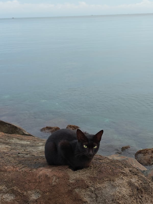 Quiet evening moments captured at Lhokseumawe coastal shoreline
