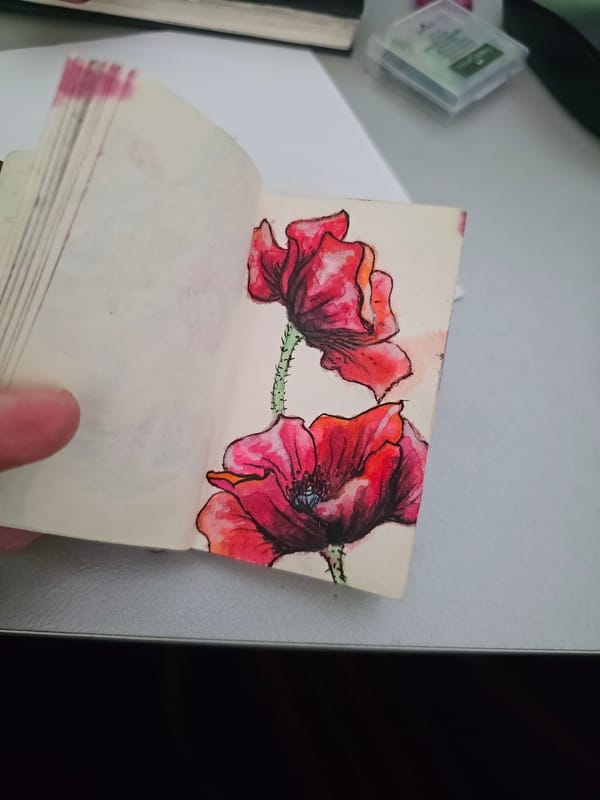 Watercolor poppies painted in a sketchbook, close up