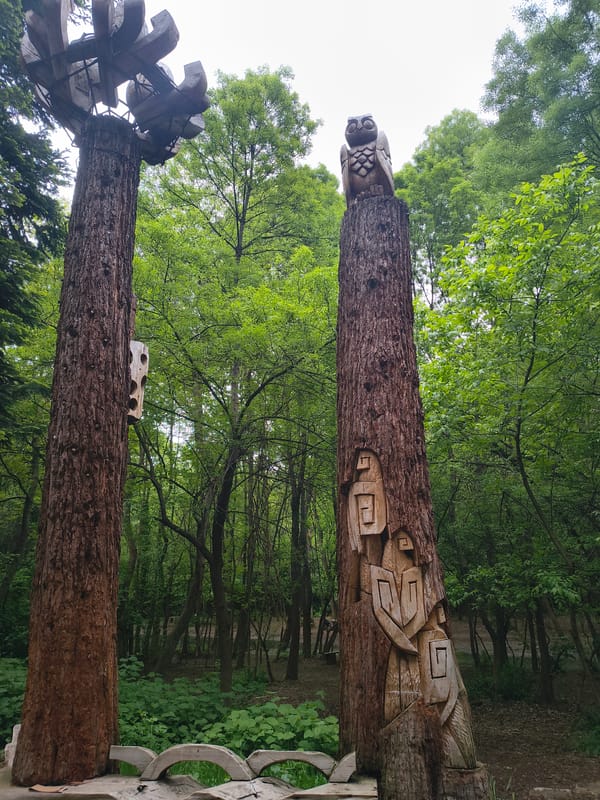 Urban scenes and woodland carvings documented in afternoon observations