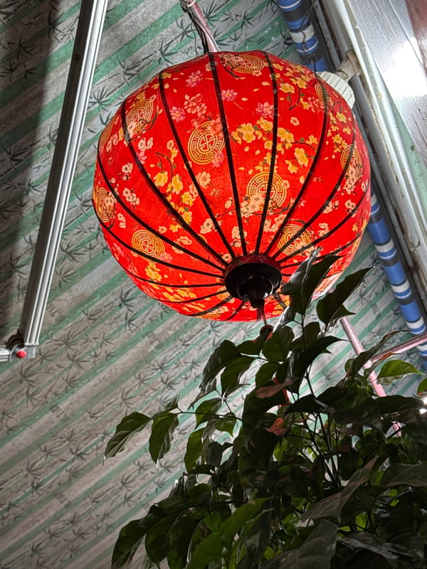 Tourist activities and local scenes documented in Hội An