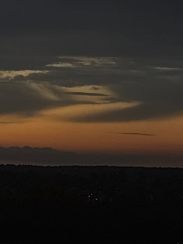 Dusk skyline and treeline silhouetted against an orange horizon