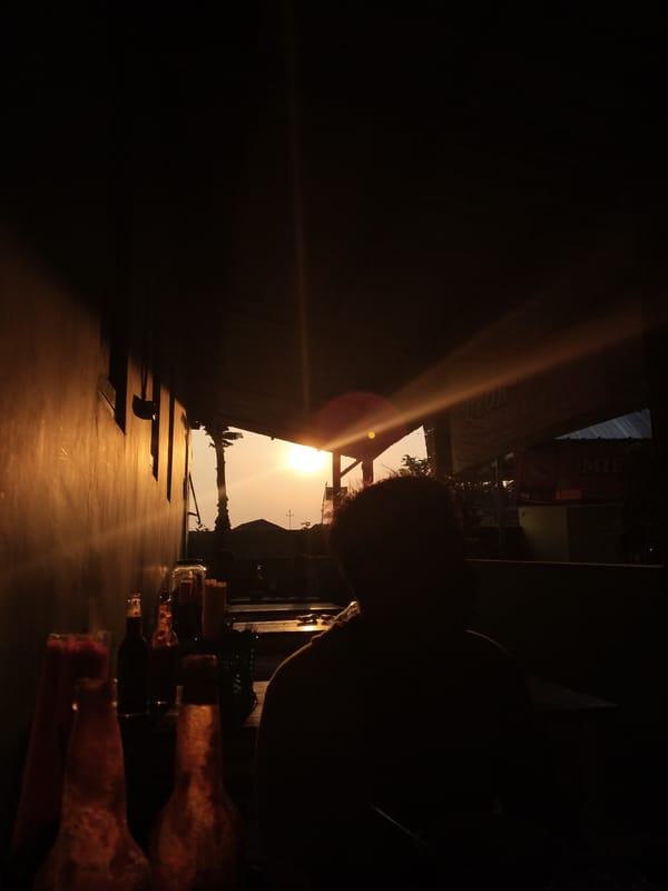 Sunset silhouettes and a sleeping cat, same morning hour