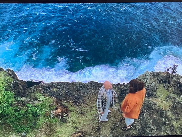 Saint Petersburg resident captures daily moments from cliffs to gardens