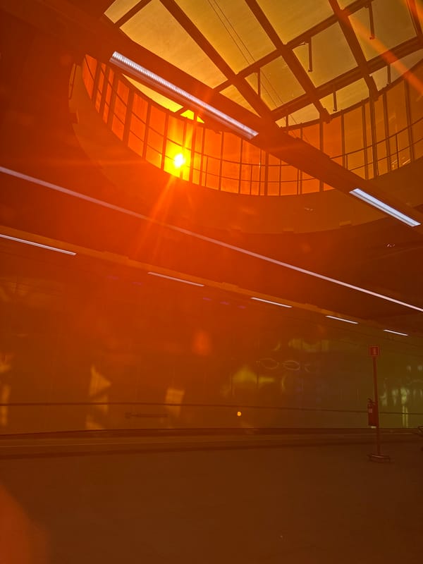 Dramatic sunset lighting captured in León transit portraits