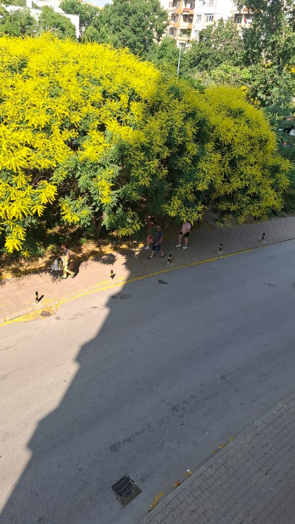 Plovdiv neighborhood streets on a bright summer morning