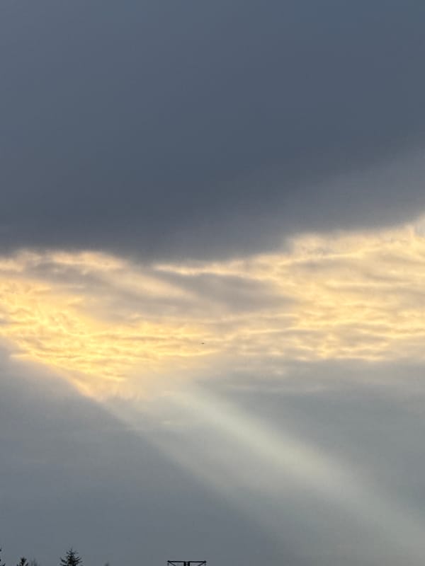 Golden-edged clouds observed over Lupanovo, Russia early morning