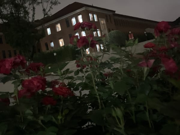 Nighttime journey documented across central Chongqing districts