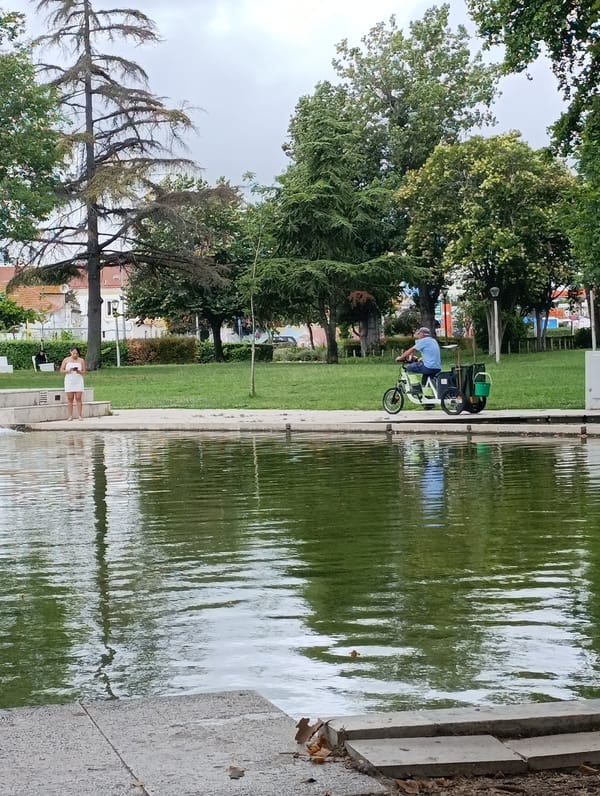Morning in a Setúbal park: pond, dogs, café, and flowers