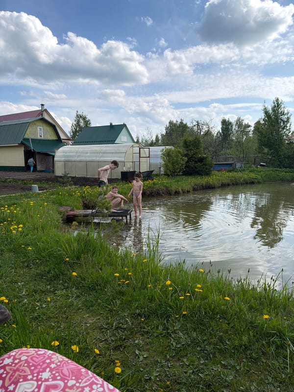 Children wade in pond in Zaprudnya, Russia