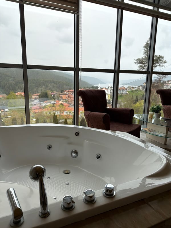Witness captures bathroom interior and wet mountain road scenes