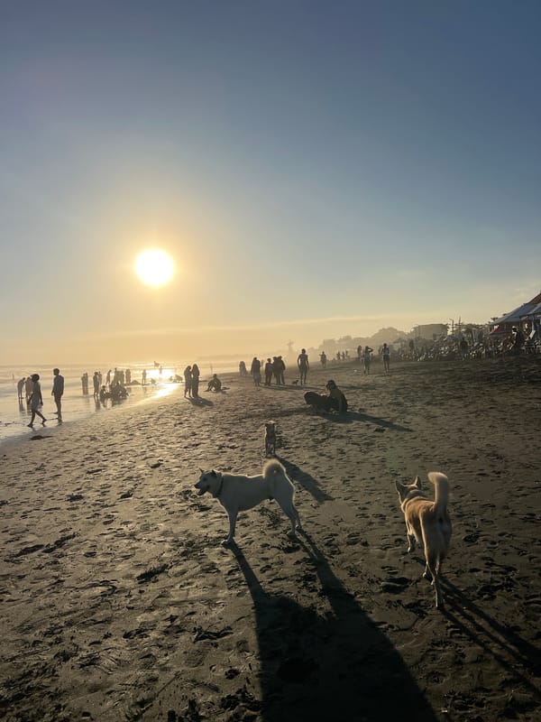 Kuta Beach at golden hour — surf, soccer, and crowds