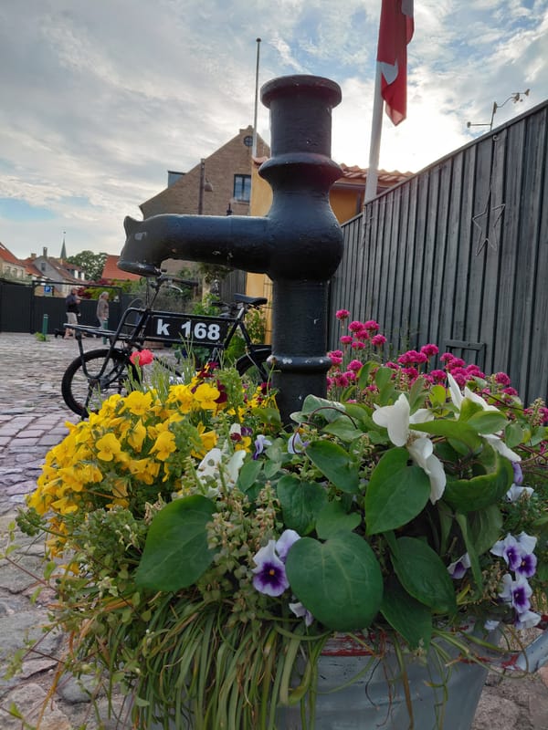 Evening scenes captured from Dragør's cobblestone streets and marina