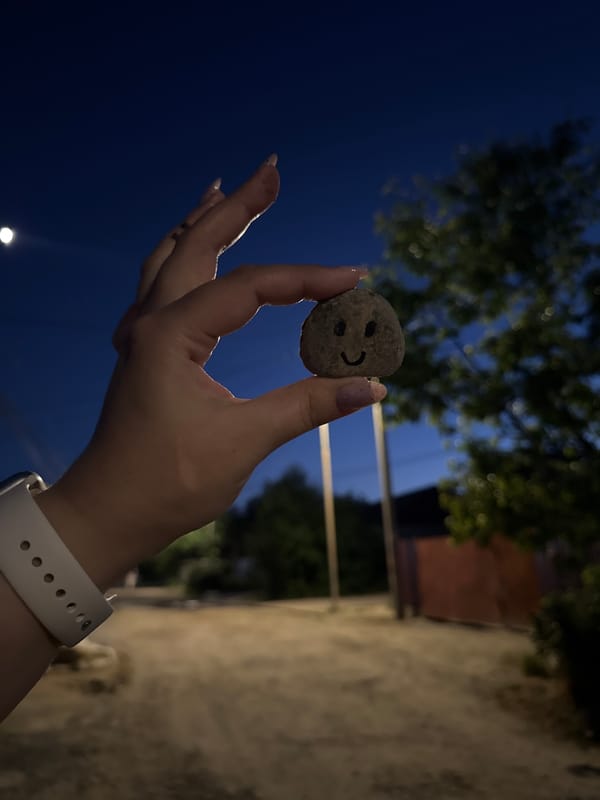 Smiley rocks, roses, and summer evenings in Mikhaylovsk