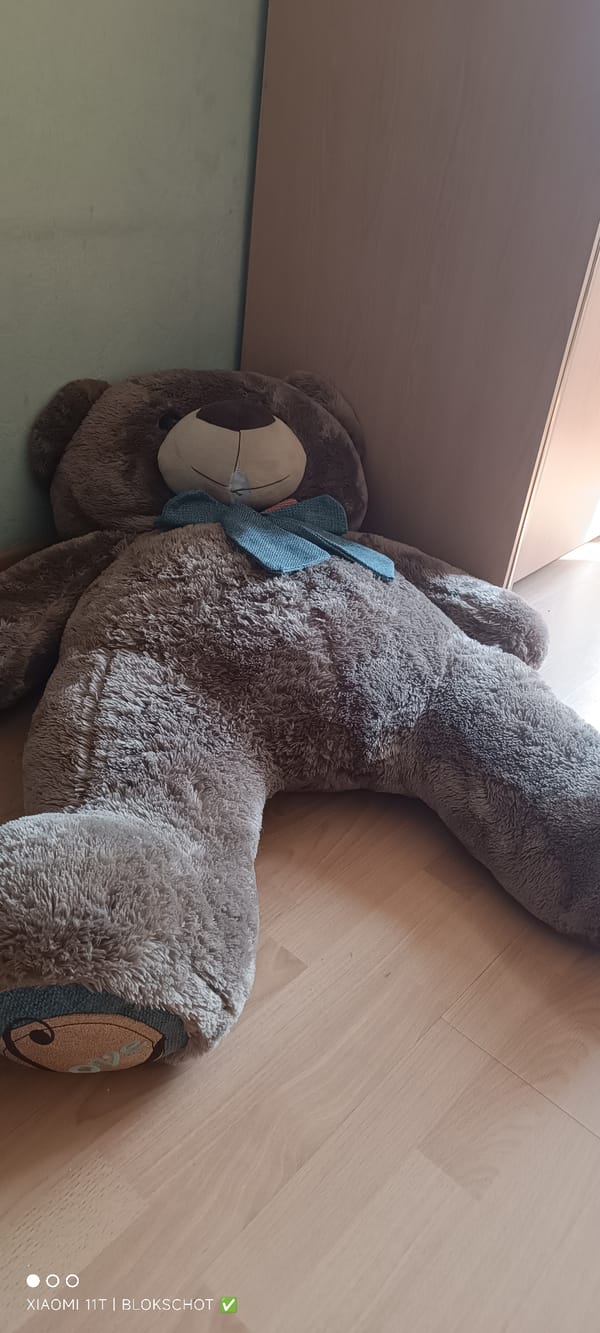 Street art, a spiral detail, and a teddy bear in Omsk