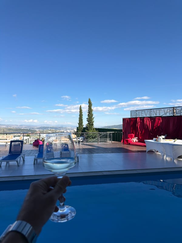 Poolside wine and city views at Lisi Lake, Georgia