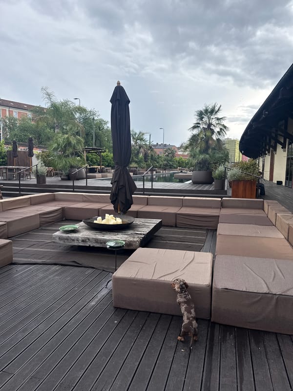 Dachshund named Olympia enjoys afternoon outing at Milan terrace